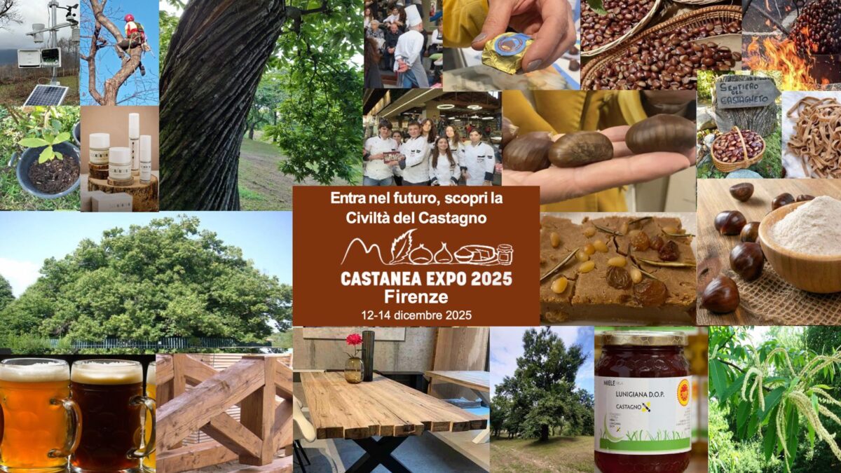 Fiera di marroni e castagne birre cosmetici farina. Dopo le sagre in Italia ecco la prima fiera della castanicoltura