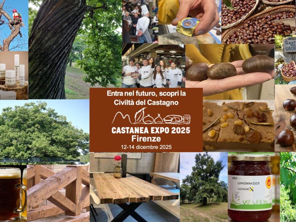 Fiera di marroni e castagne birre cosmetici farina. Dopo le sagre in Italia ecco la prima fiera della castanicoltura
